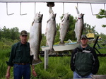 P5250118 sized