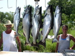 P8050052