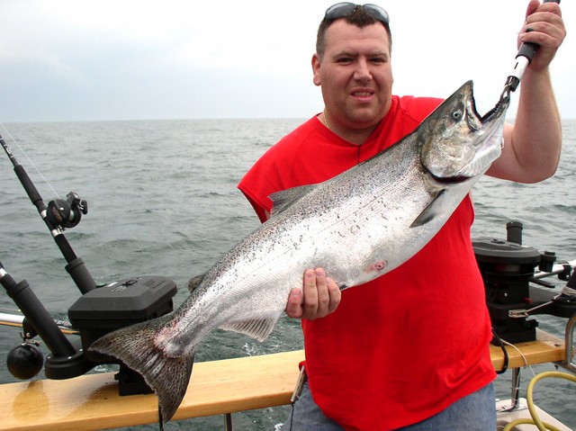 P7120154.sized.jpg