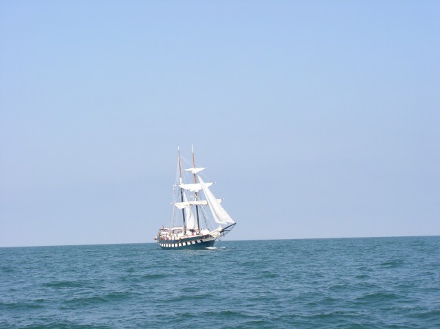 P8021181.sized.jpg